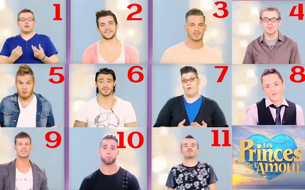 photo article LES PRINCES DE L'AMOUR SAISON 2 : LE CASTING 