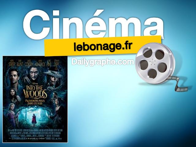 photo article Films à l'affiche : Into the Woods, Promenons-nous dans les bois